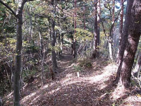 20161117hike (148)